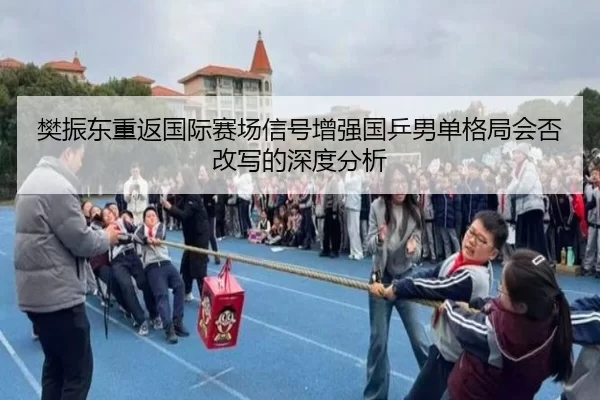樊振东重返国际赛场信号增强国乒男单格局会否改写的深度分析